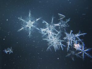 Snowflakes