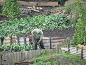 Hard working farmer